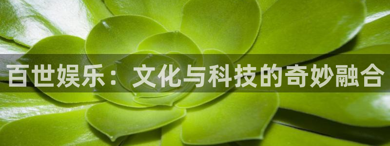 韦德1946体育官方入口
