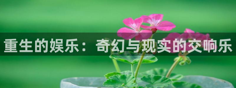 韦德1946源于英国：重生的娱乐：奇幻与现实的交响乐