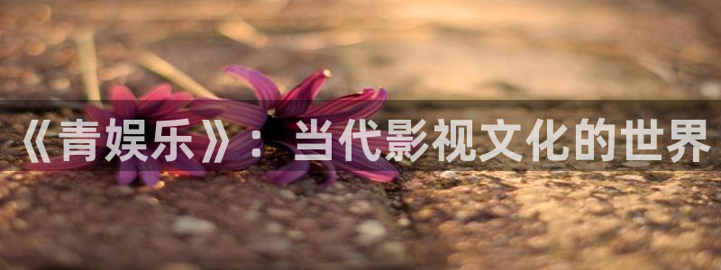 韦德1946体育官方入口：《青娱乐》：当代影视文化的世界