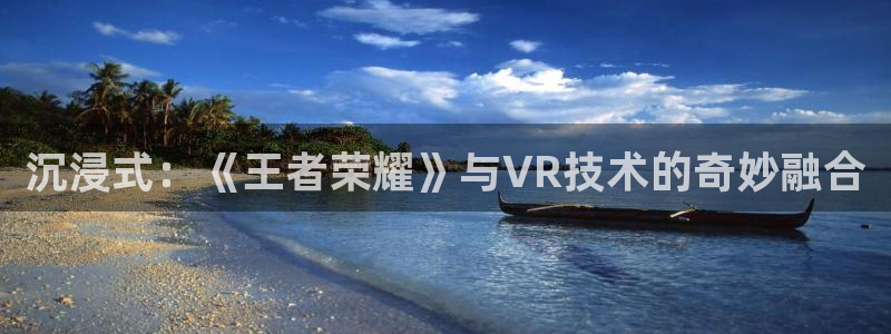 韦德1946体育官方入口：沉浸式：《王者荣耀》与VR技术的奇妙融合