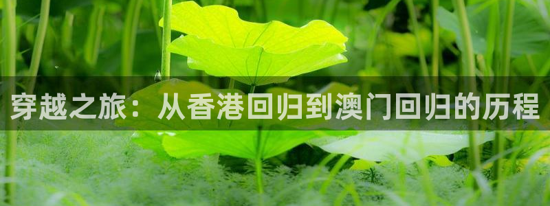 韦德1946娱乐：穿越之旅：从香港回归到澳门回归的历程
