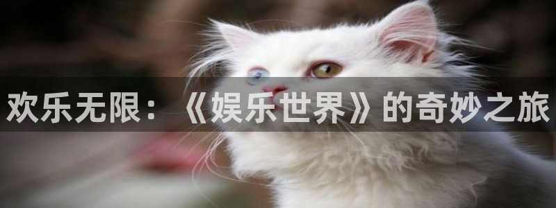 韦德1946：欢乐无限：《娱乐世界》的奇妙之旅